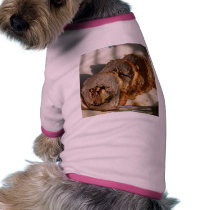 Pork Loin Stuffed pet clothing