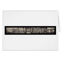 Pork Pig Processing Photo 1900 cards