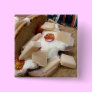 Pork pita sandwich