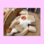 Pork pita sandwich