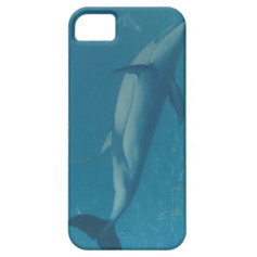 Porpoise in Blue iPhone 5 Cases