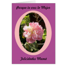 Porque eres la mejor felicidades mejor greeting cards