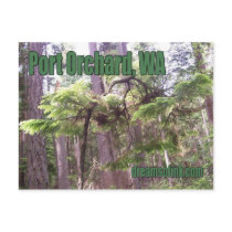 Port Orchard Park postcards