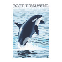 Port Townsend, WashingtonOrca Jumping Stretched Canvas Print
