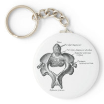 Portable Backbone Keychain