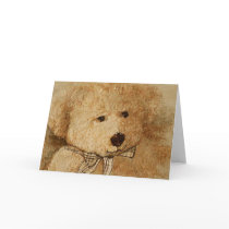 Portait of a Teddy cards