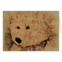 Portait of a Teddy cards