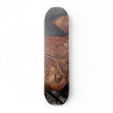 Porterhouse Steaks Grilling Barbecue Grills Meat skateboards by lifesphere Porterhouse Steaks Grilling Barbecue Grills Meat skateboards