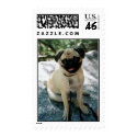 Porthos in Yosemite postage by dhale67 Porthos in Yosemite postage