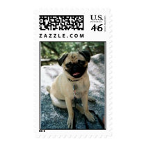 Porthos in Yosemite postage by dhale67 Porthos in Yosemite postage