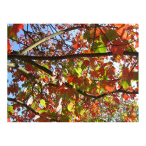 portland leaves posters by joshuakyle7 portland leaves posters