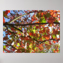 portland leaves posters