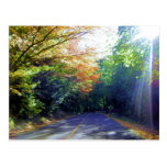 Portland, Oregon Road to the Rose Garden Postcards