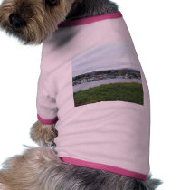 Portland River Water pet clothing by lifesphere Portland River Water pet clothing