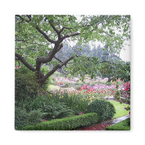 Portland Rose Garden. magnets