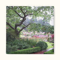 Portland Rose Garden. magnets by Acorns_tree Portland Rose Garden. magnets