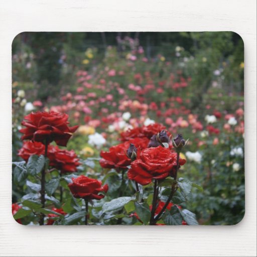 Portland Rose Garden mouse pad