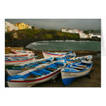 Porto dos Carneiros Cards