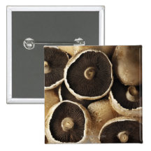 Portobello Mushrooms on White Background Pinback Button