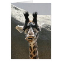 Portrait of a Baby Giraffe cards by artisticsol Portrait of a Baby Giraffe cards