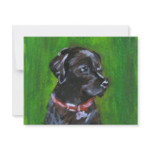 Portrait of a Black Labrador invitations by zadajeanne Portrait of a Black Labrador invitations