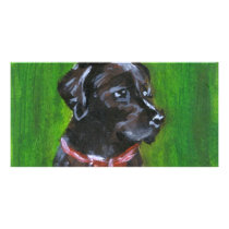 Portrait of a Black Labrador photo cards