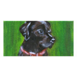 Portrait of a Black Labrador Customized Photo Card