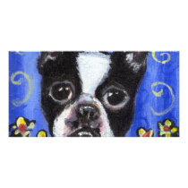 Portrait of a Boston Terrier photo cards