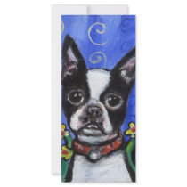 Portrait of a Boston Terrier rack cards