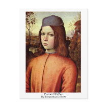 Portrait Of A Boy By Bernardino Di Betto Postcards