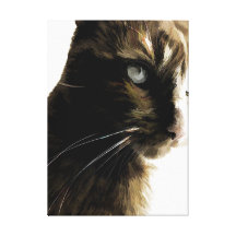 Portrait of a Cat Canvas Prints