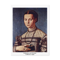 Portrait Of A Girl With Book By Bronzino Angelo Postcards
