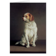 Portrait of a King Charles Spaniel card
