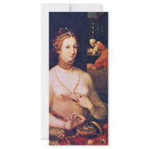 Portrait Of A Lady At Her Toilette,  By Meister De Rack Card