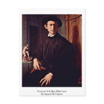 Portrait Of A Man With Lute By Agnolo Di Cosimo Post Cards