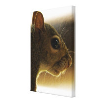 Portrait of a Mississippi Gray Squirrel/Natural Stretched Canvas Print