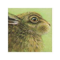 Portrait of a rabbit grazing boxed canvas print wrappedcanvas