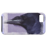 Portrait of a Raven Corvid-lovers Art Design iPhone 5 Cover