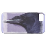 Portrait of a Raven Corvid-lovers Art Design iPhone 5 Cases
