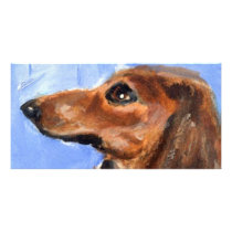 Portrait of a red dachshund photo cards by zadajeanne Portrait of a red dachshund photo cards