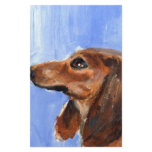 Portrait of a red dachshund stationery design