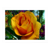 Portrait Of A Rose posters by jinn Portrait Of A Rose posters