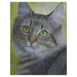 Portrait Of A Tabby Flyer Design
