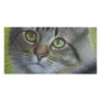 Portrait Of A Tabby Photo Card Template