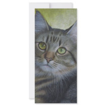 Portrait Of A Tabby rack cards