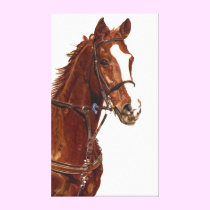 Portrait of a Thoroughbred Stretched Canvas Print canvas prints