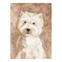 Portrait of a Westie posters by jenbenjee Portrait of a Westie posters