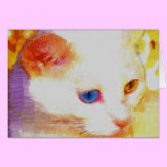Portrait of a white cat cards