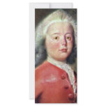 Portrait Of Albert Fabricius By Tako Hajo Jelgersm rack cards