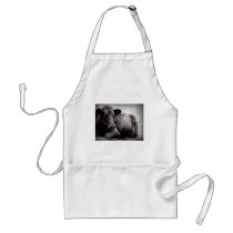 Portrait of an Angus Aprons